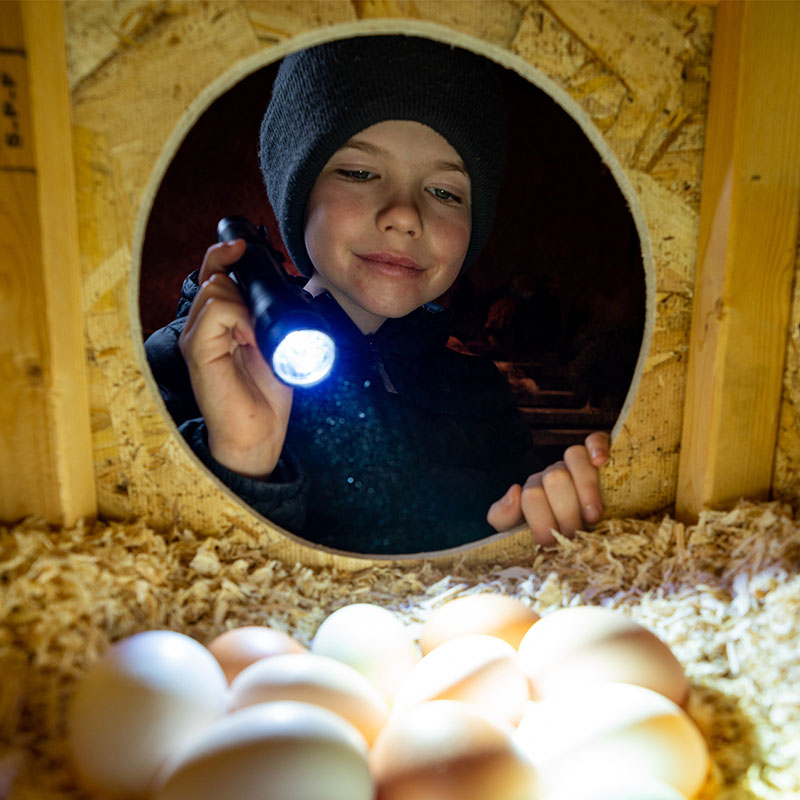 ProTac® HL-X | Handheld Flashlight | Streamlight®