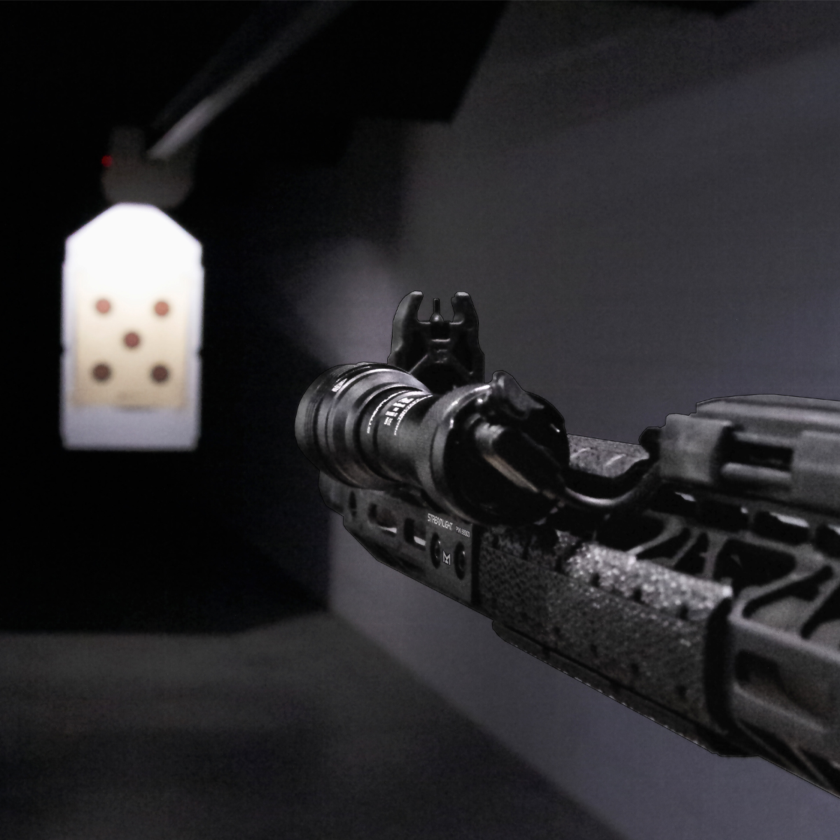 ProTac-Rail-Mount-HL-X-Pro_11