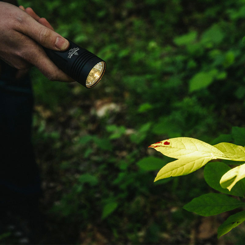 Stinger® Color-Rite® | Handheld Flashlight | Streamlight®