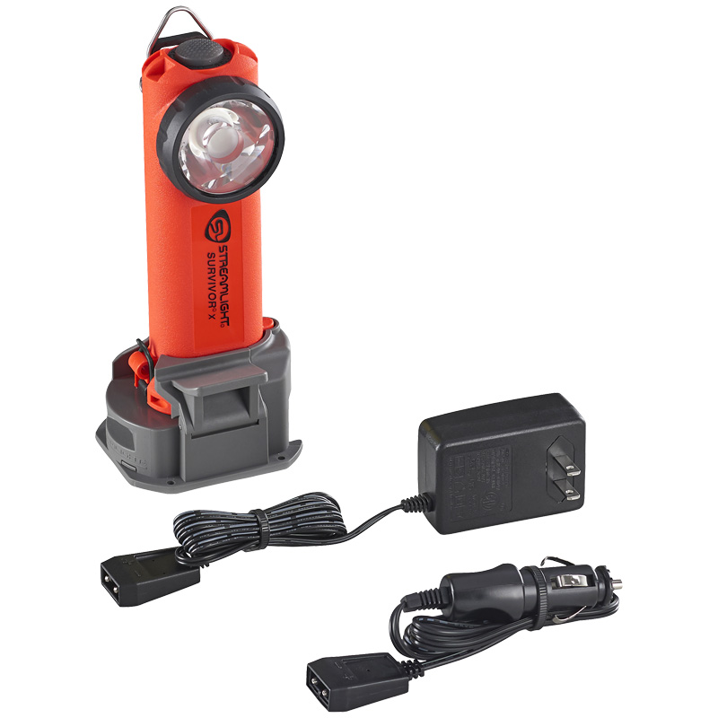 Survivor X