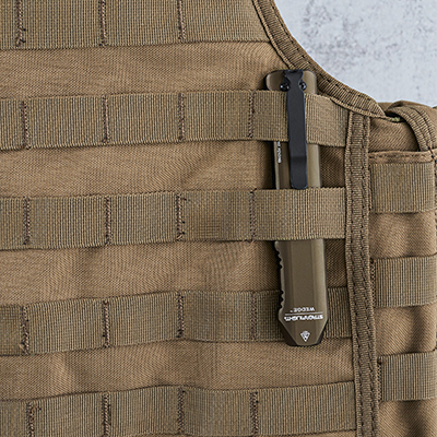 Wedge-molle-08